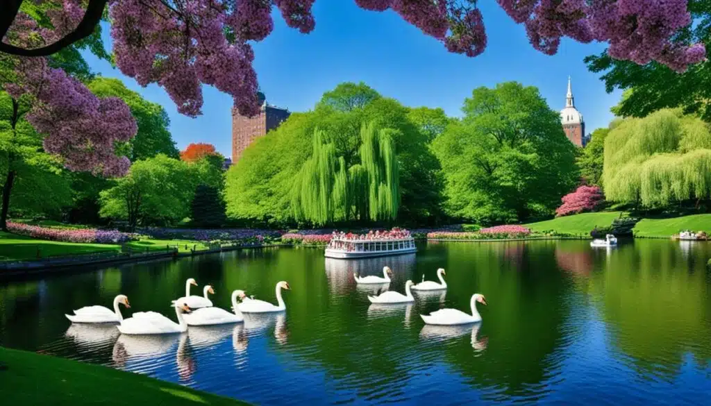 boston swan boats